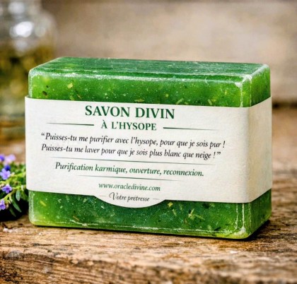 WhatsApp Image 2026-02-21 at 18.26.04